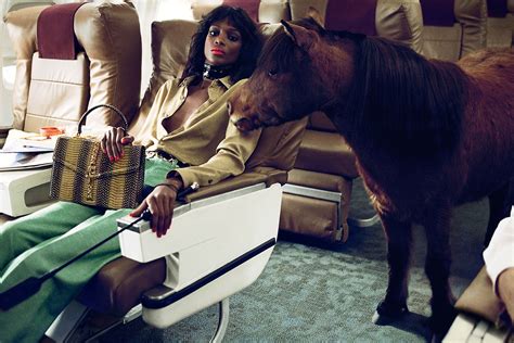 gucci horse|gucci lanthimos horses.